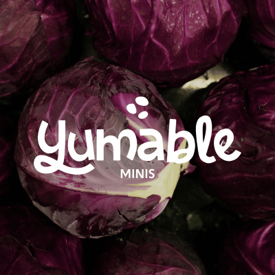Yumable minis holiday program tile